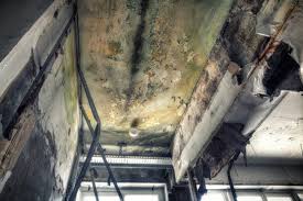 Kenosha, WI Mold Removal & Remediation Company